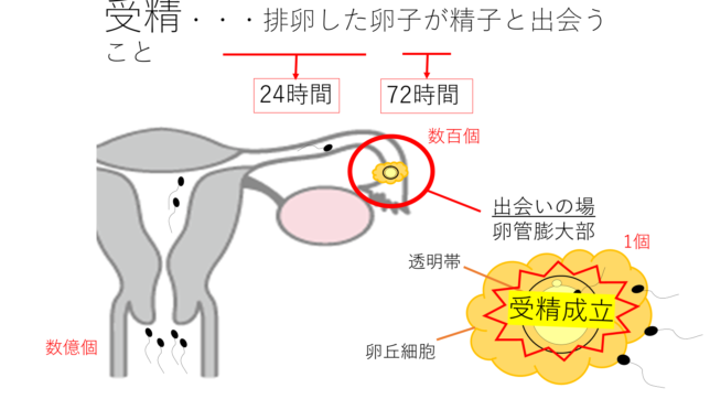 画像に alt 属性が指定されていません。ファイル名: image-3-644x362.png